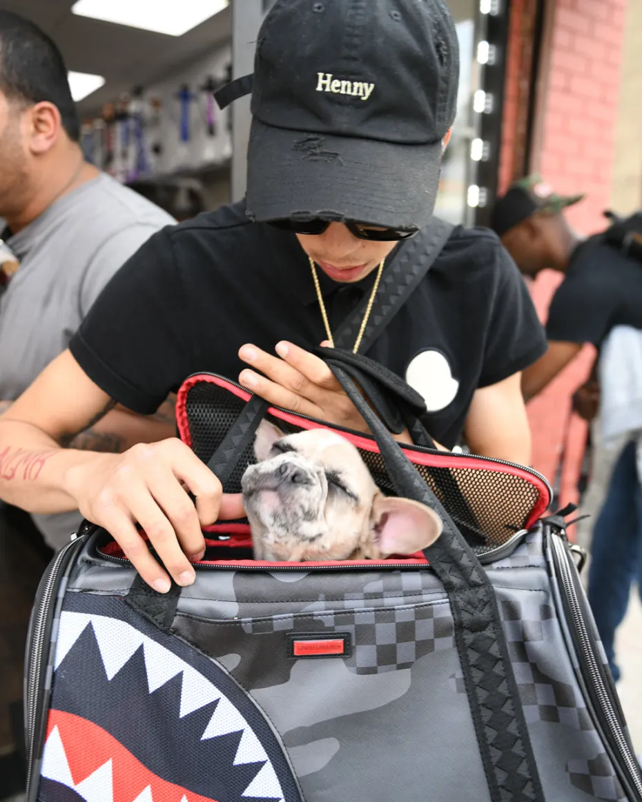 3AM PET CARRIER