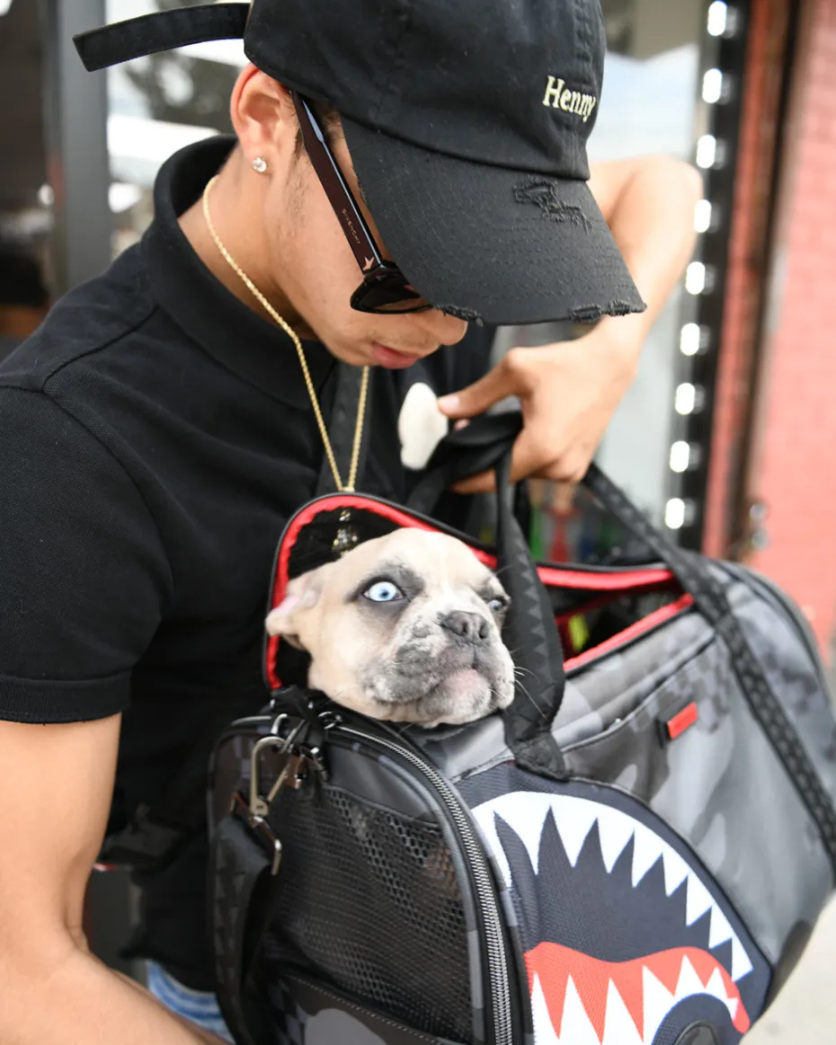 3AM PET CARRIER