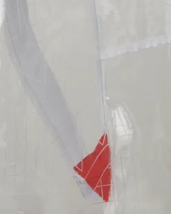 CLEAR VISION SHARKS IN PARIS - 100% ALL CLEAR DLX BACKPACK