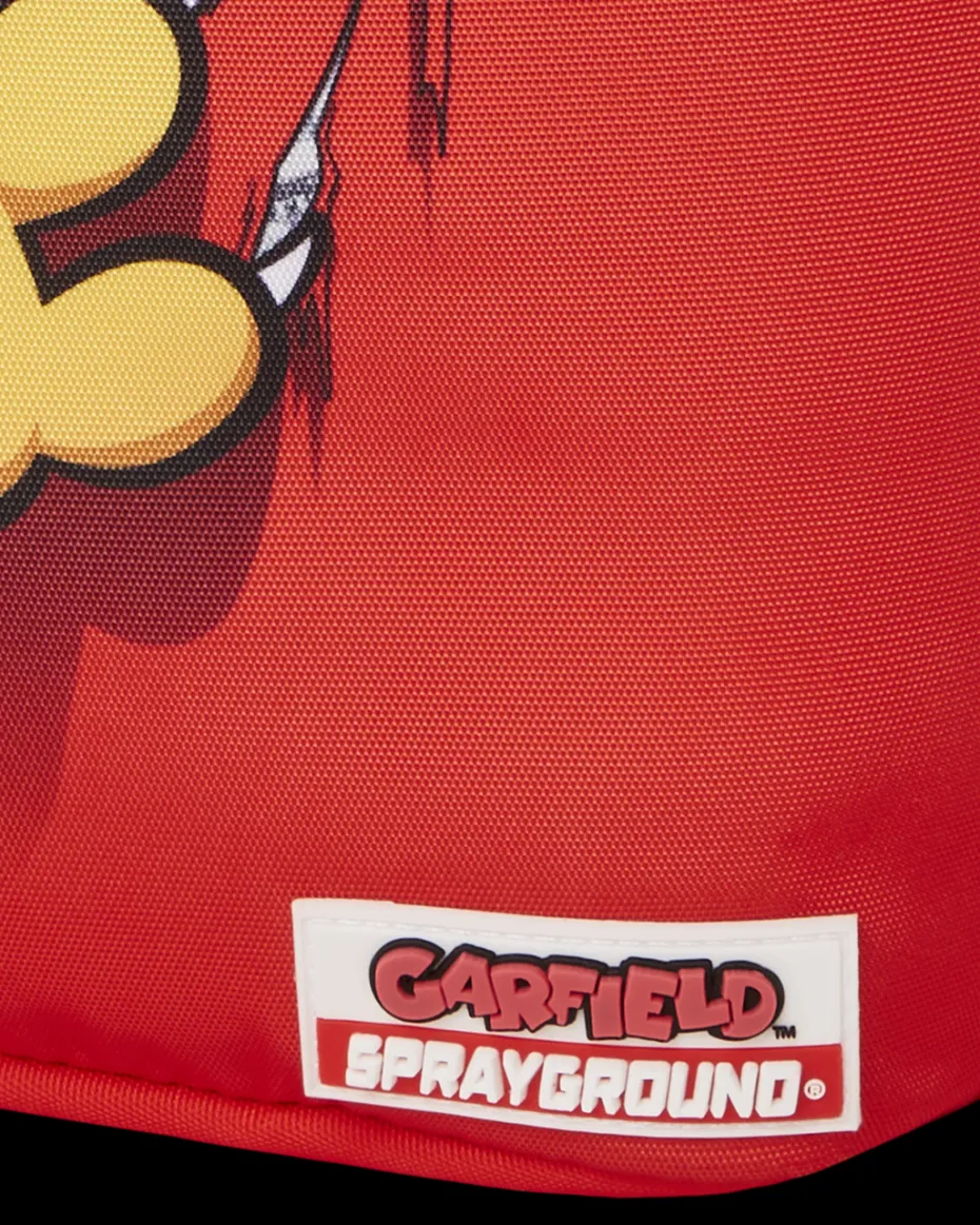 GARFIELD CAT SCRATCH (DLXR)