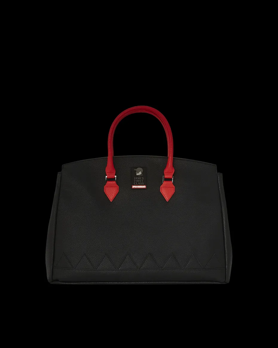 JAMES FIRST CLASS GLOBAL TAKEOFF SPIRKIN HANDBAG