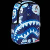 NORTH SHARK