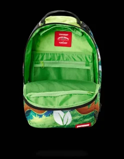 POKEMON BULBASAUR GRASS SHARK