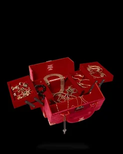 SOULJA BOY JEWELRY CASE