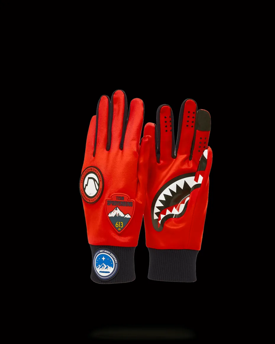 THE GLOBAL EXPEDITION GLOVES