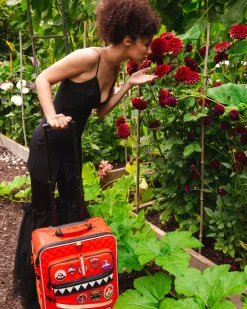 THE GLOBAL EXPEDITION JETSETTER CARRY-ON LUGGAGE