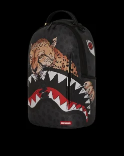 TYREEK CHEETAH RUNNER SHARK